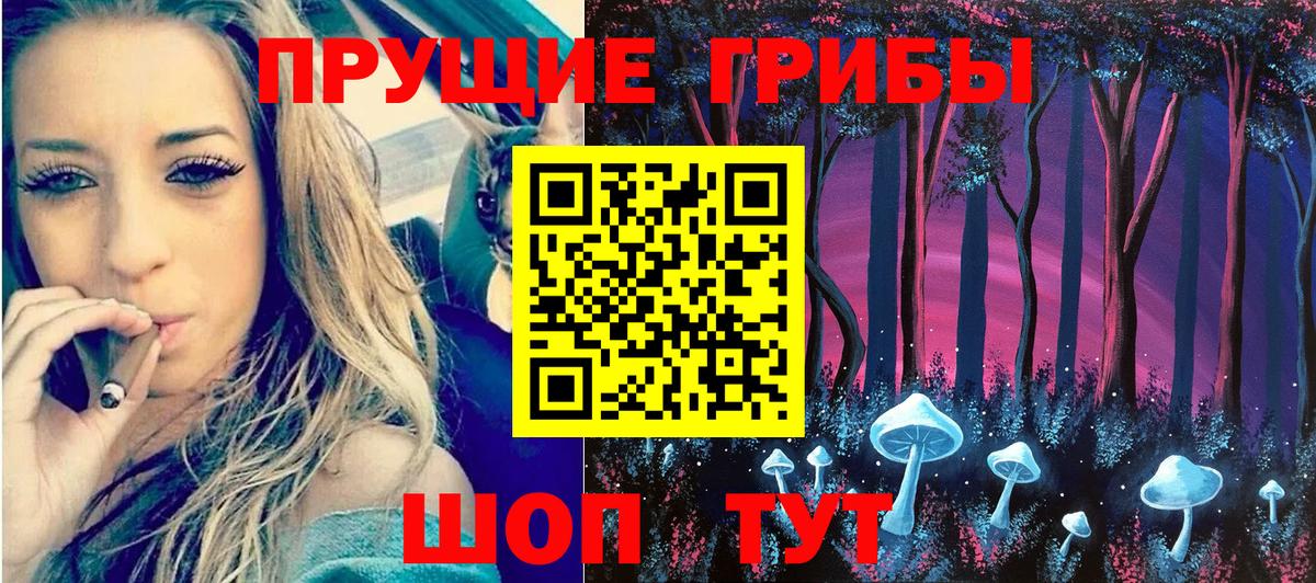 Галлюциногенные грибы Psilocybe  Псилоцибиновые грибы Psilocybine cubensis  Вичуга  Вход с VPN 
