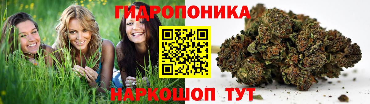 Конопля Ganja  Марихуана OG Kush  Вход с VPN  Вичуга  Марихуана LSD WEED  Бошки марихуана конопля 